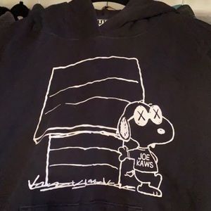 2019 Kaws Hoodie Size M
